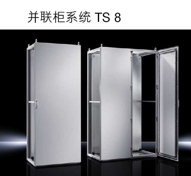 TS1.png